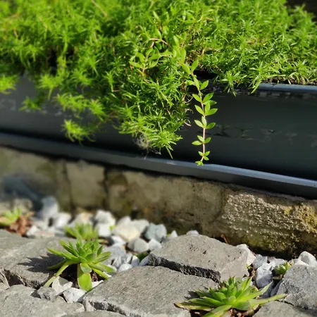 Casuta Cu Parcare Si Gradina - The Cozy Chic Retreat Διαμέρισμα