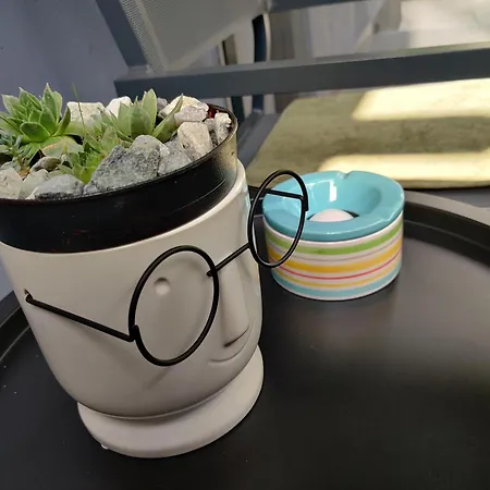 Daire Casuta Cu Parcare Si Gradina - The Cozy Chic Retreat *