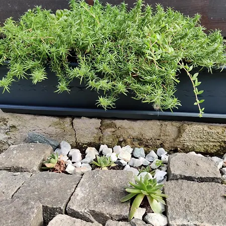 Casuta Cu Parcare Si Gradina - The Cozy Chic Retreat *