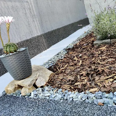 Casuta Cu Parcare Si Gradina - The Cozy Chic Retreat Διαμέρισμα