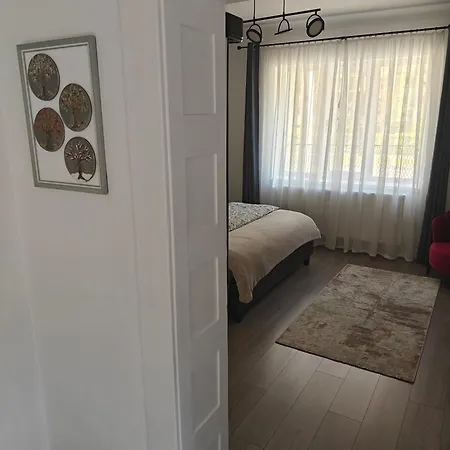 Casuta Cu Parcare Si Gradina - The Cozy Chic Retreat * Cluj-Napoca