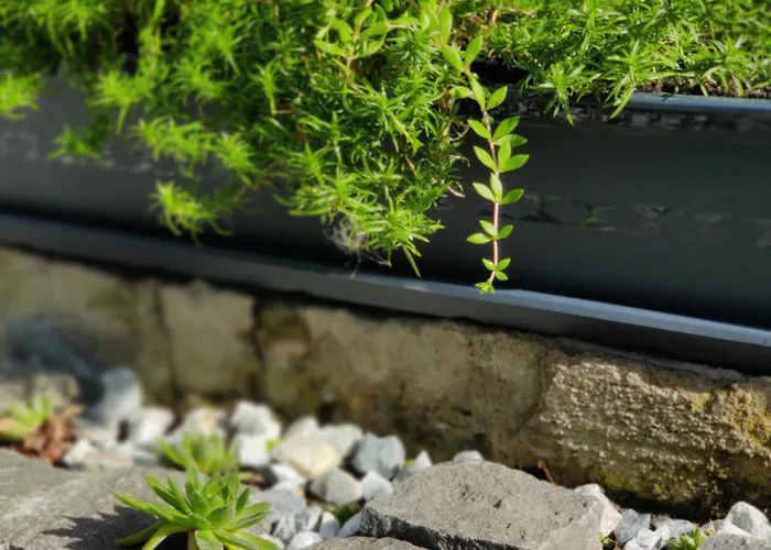 Casuta Cu Parcare Si Gradina - The Cozy Chic Retreat Daire