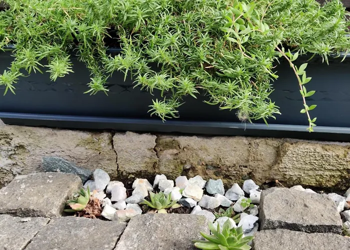 Casuta Cu Parcare Si Gradina - The Cozy Chic Retreat *