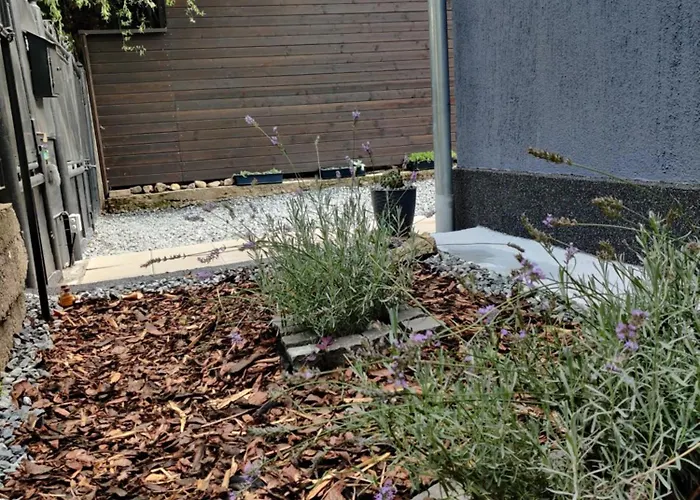 Casuta Cu Parcare Si Gradina - The Cozy Chic Retreat